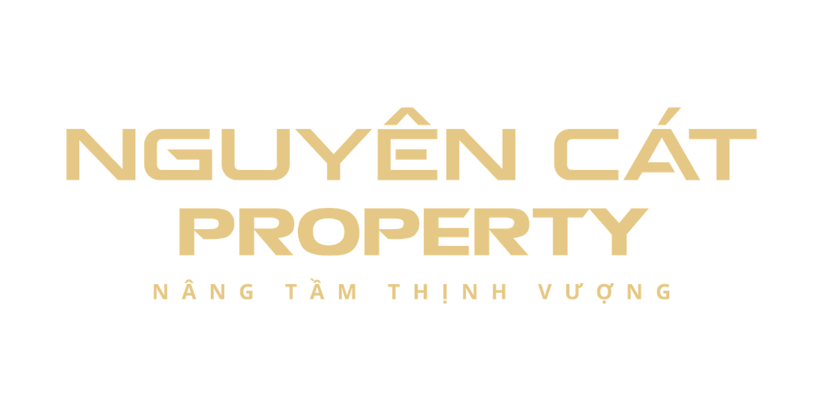 NGUYEN CAT PROPERTY